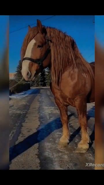 1643901c95edadf6ecf0e78a2545afdc