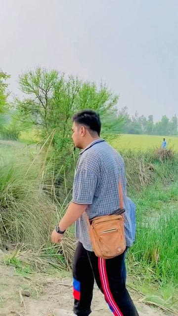 Amazing Goshawk #shikra #eagle #sparrowhawk