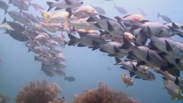 E61e7366709ce2dec859ed17a8fce30f