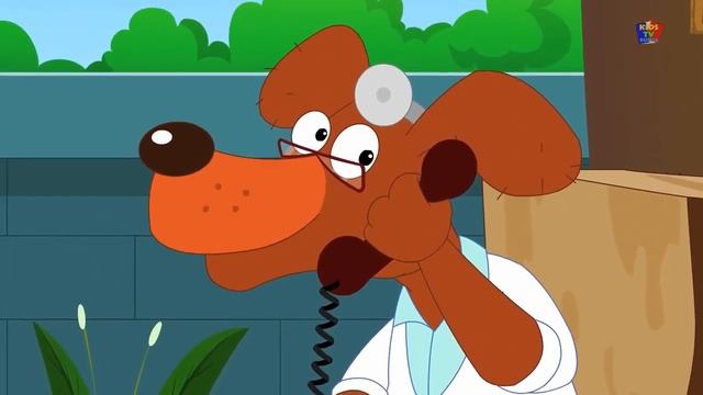 Exotic Plant Treasures