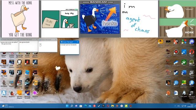 Скачал ручного гуся на компьютер