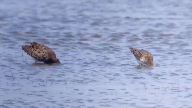 A70d2b78f209c72f3a57a9dbcd4ae492