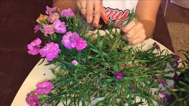 6565f55d9dce170a81f8f1d9dc58f9b1