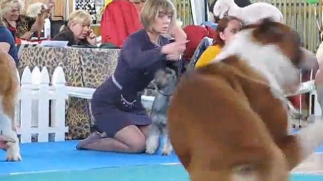 48c3faaf3a3f164e005279bed2e5da4d