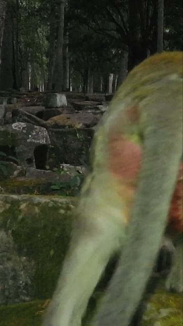 Dana Walking Lonely With Painful |