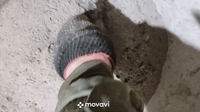 Избавляем кур от пухопероедов...