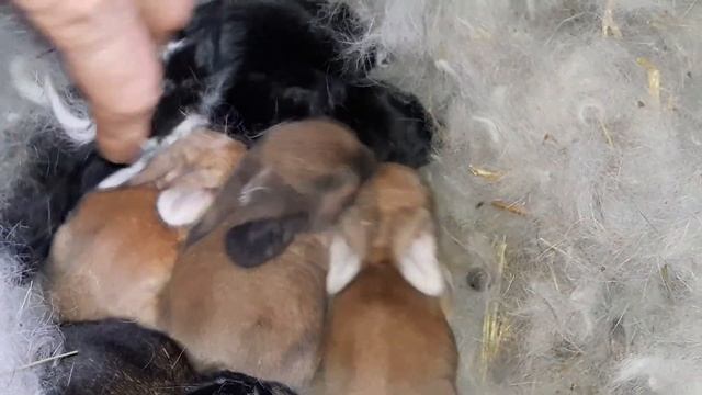 070095c1433ad37c51e49d9742daf6a9