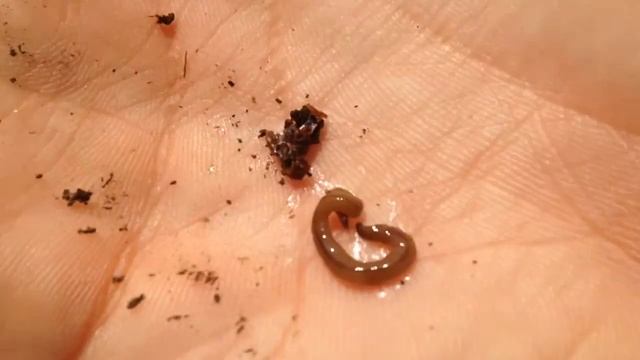 81ed0979290eff4fc5b5e112eeec6289