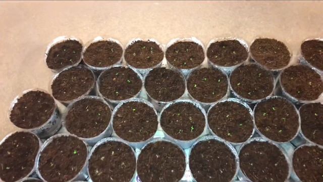 B3a052cd9ccef6ec75dd1ba56be5accd