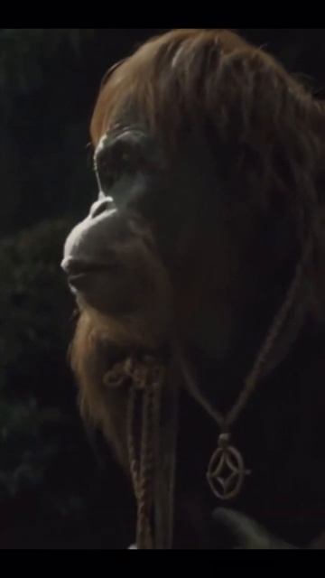 Kingdom Of The Planet Of The Apes(2024) Ape Shall Not Kill Ape