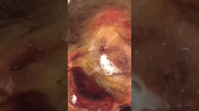 Test Footage For The Film 