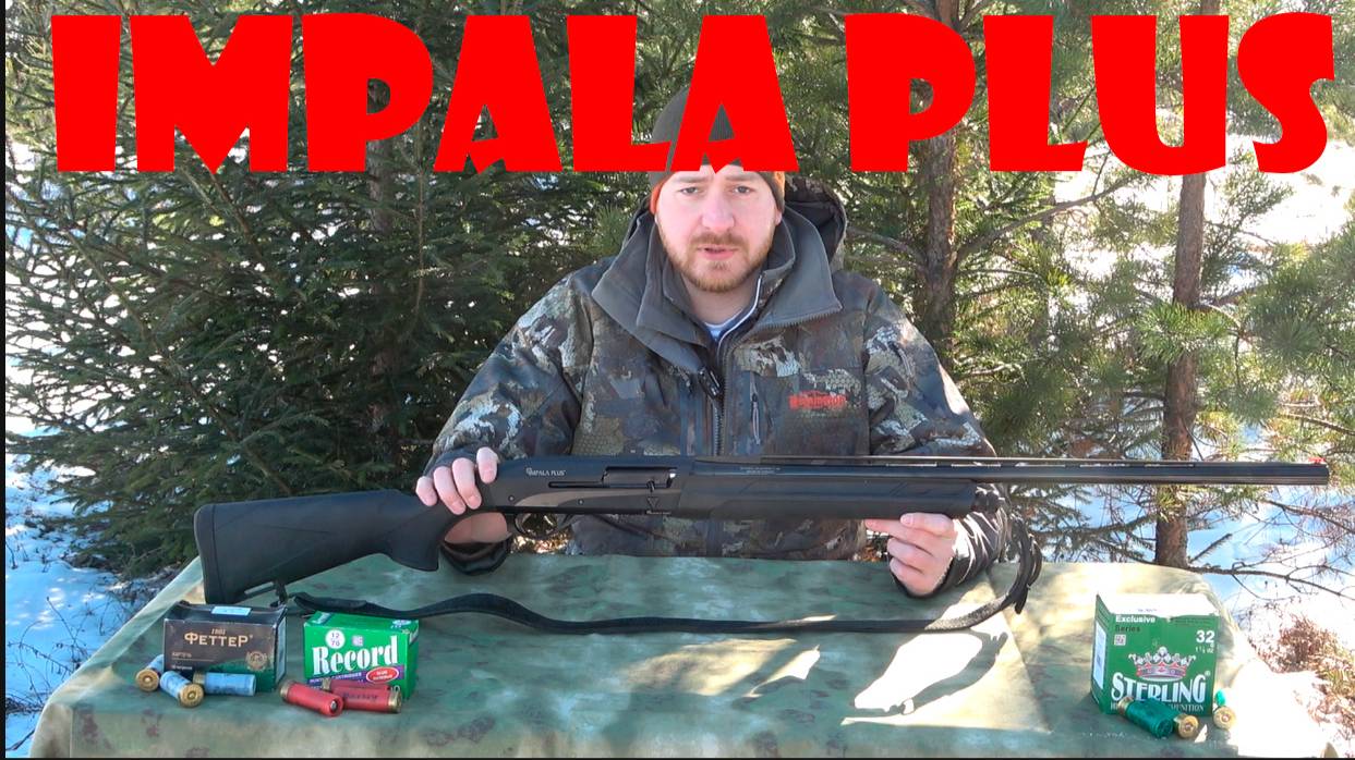 СТРЕЛЯЕМ ПУЛЕВЫМИ И ДРОБОВЫМИ ПАТРОНАМИ. IMPALA PLUS