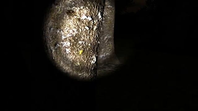 Две потерявшиеся овцы