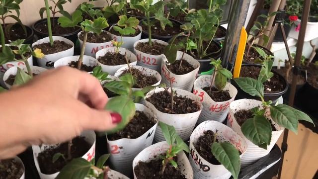 1f54090fa648270b21d37d3cd7cf69fa