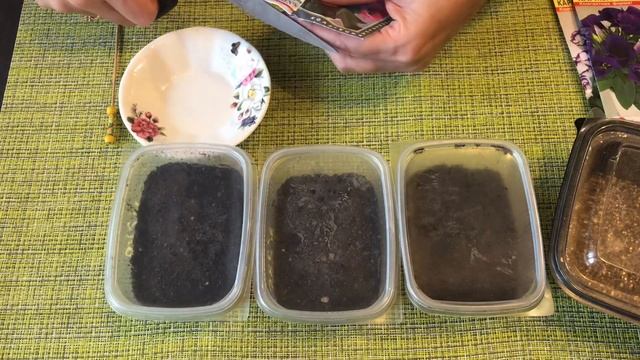 07055cecfe06baff3978b5f8c933a21c