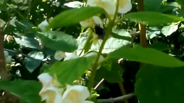 F82678dbab089df0d4ae3e42dddc0035