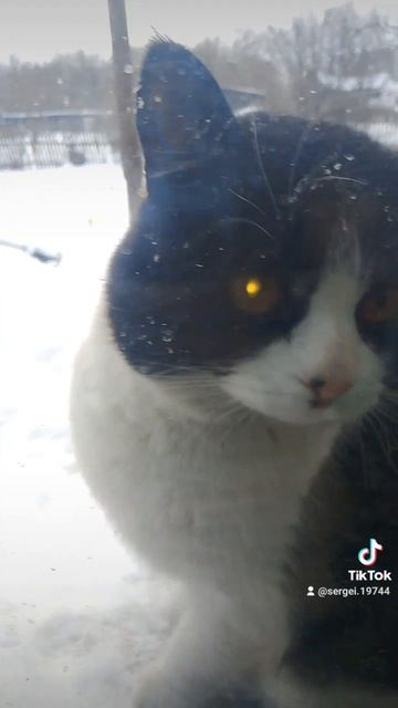 0ac19b637fb4c2d15e8ff4ca381ba9b2