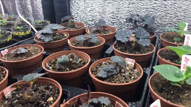 5fd899ac8e56145186961369c39d42c7