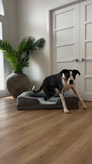 C10c478963b86b1a2f188f89d47b5d42