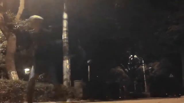 [Zebra]Midnight Shuffle