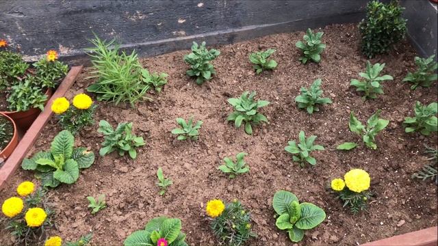 6fae206dd42a63efd8103656448661e5