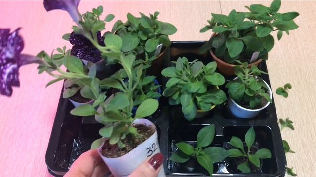 70a3cb084ffc58f1feebed58453fdf6f