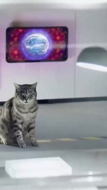 Whiskas К.Т.У Всегда с позитивом