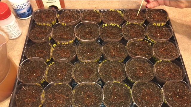 Ebb4f110e761bbee735e4b8a8d3d848e