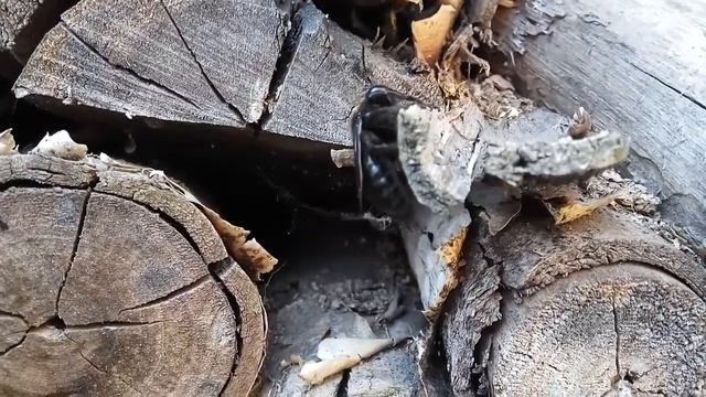 B4c0f6fe6bb4200e67bf8c2401a970b3