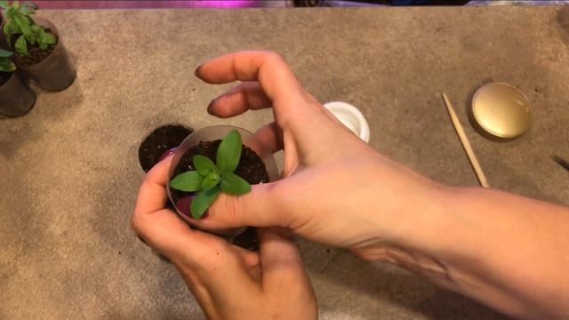 3f92fb448a34a7a497d0bc813dba368b