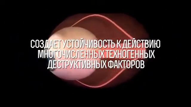 Бизнес Онлайн Елена Березина W Nature