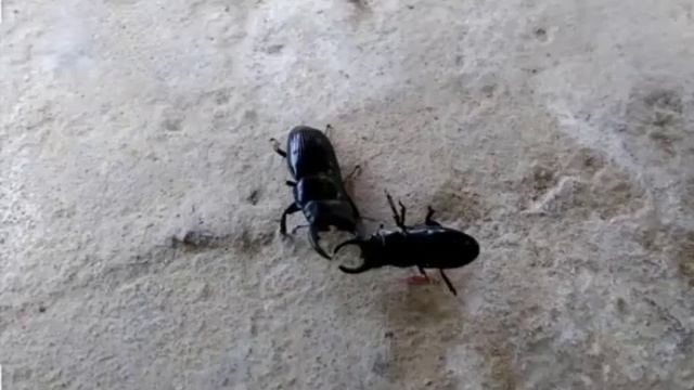 F7e6e850af8e1e0d3db9aa55ec2a6a1e