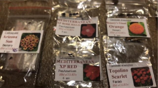 0a216529ea2e1767a9ffaa6373048b93