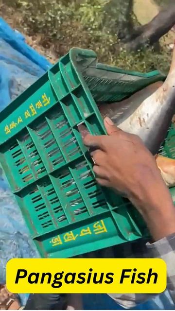 A930fa25a59b2b114967d603081843bc