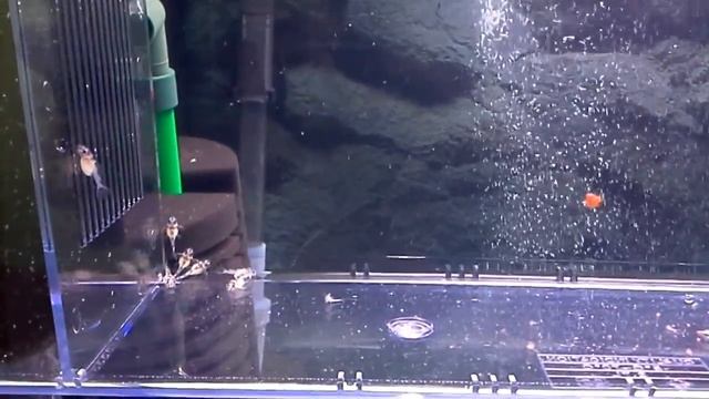 05e247c9724dc2f5b01b71d5ec3fd8c0