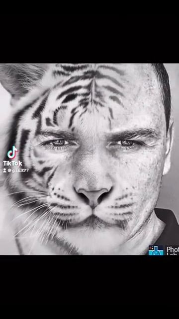 B2d43646f9aad5fc18d1f547a36ea3ce