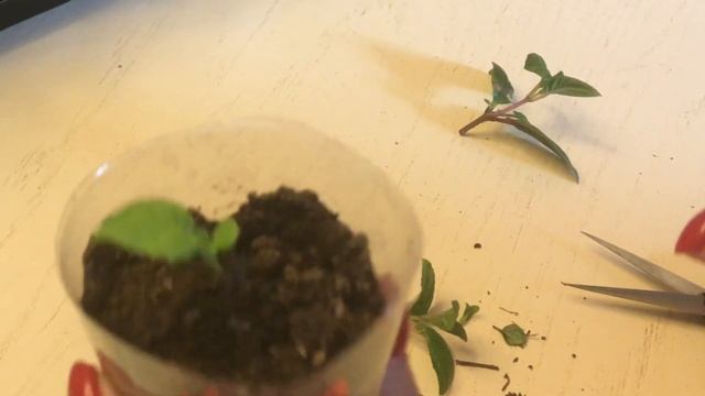 67aa2ec1eaeb6c02cdecd74b6addea12