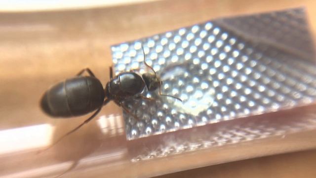 63c9ea7e34755ba48abd13380621c0b9