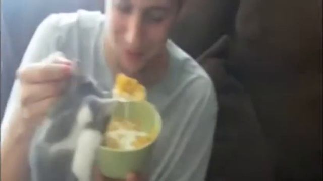 Может поедим?