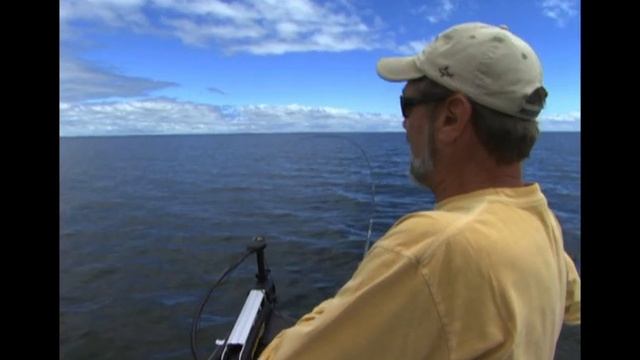 93d1ce7897834c33b0bdb0692cf6d6c2