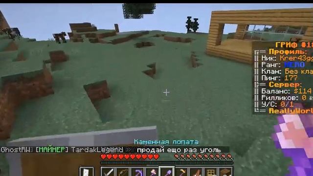 Играем в майнкрафт выживание на сервере Mc.reallyworld.me домера
