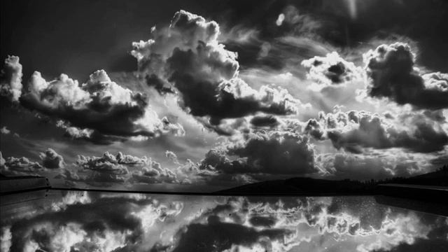 Pelican - Forecast For Today