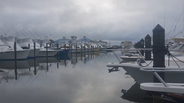 Michael Jordan's Catch 23 Lands Prize Winning Fish In 2021 White Marlin Open