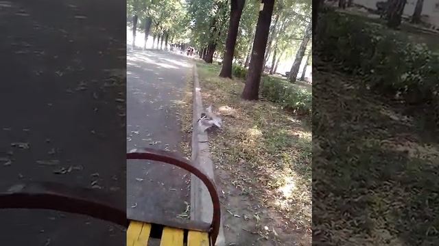 VID 20130622 171602