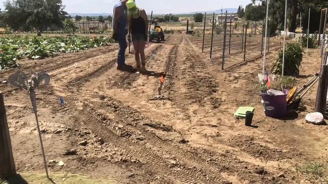Planting A Salsa Verde Garden - Timelapse