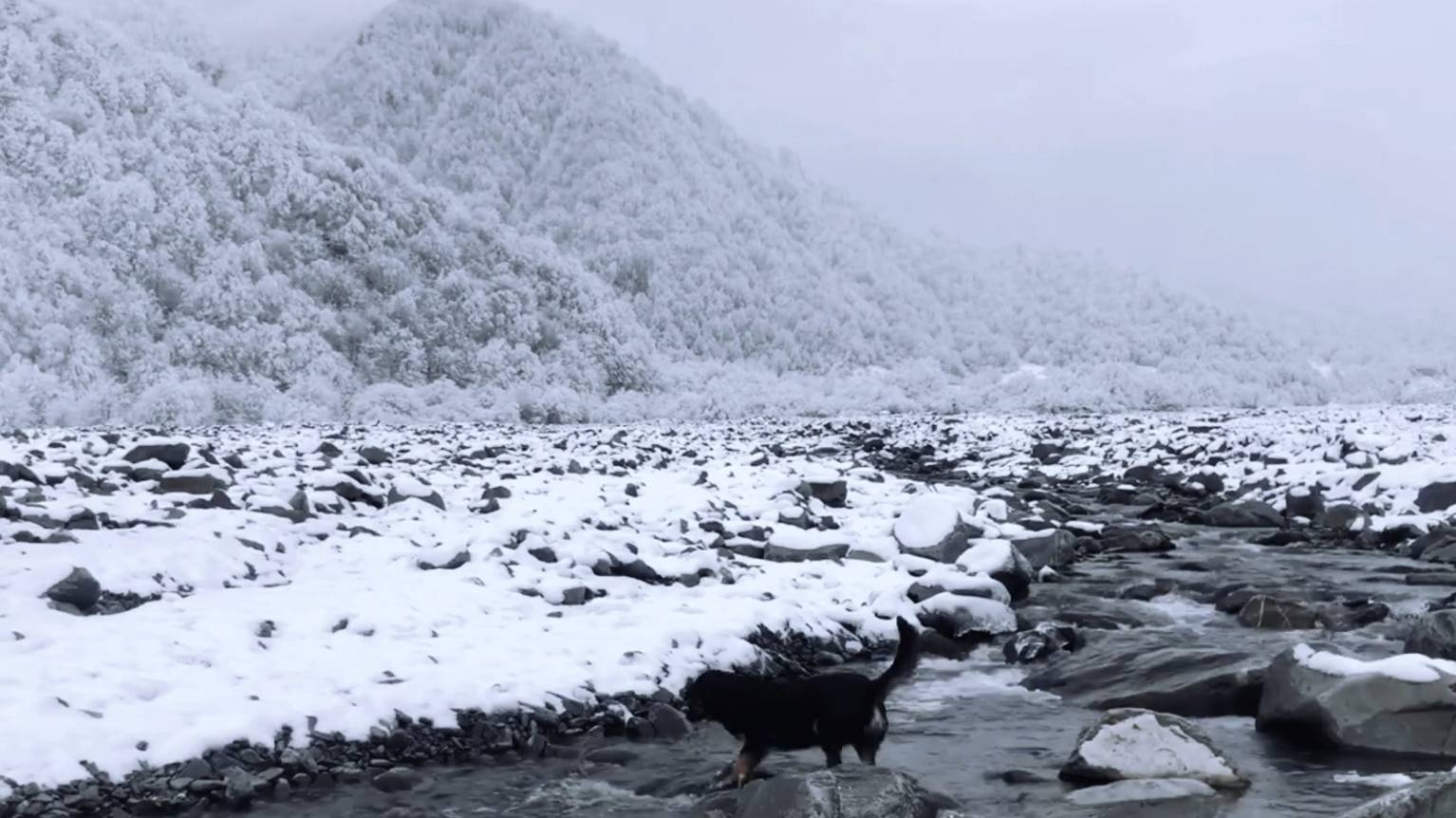 5416d5799f9364e48f1ccc0616c9a8d6