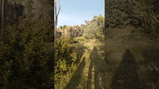 Весна в Мандаториччо, февраль 2017