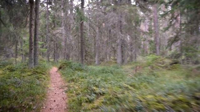 Cdb63e257fec03da4ecd223463796051