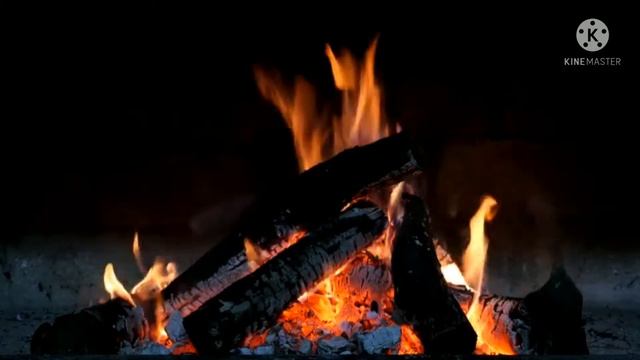 The Sounds Of A Bonfire. Night. Forest. Звуки костра. Ночь. Лес