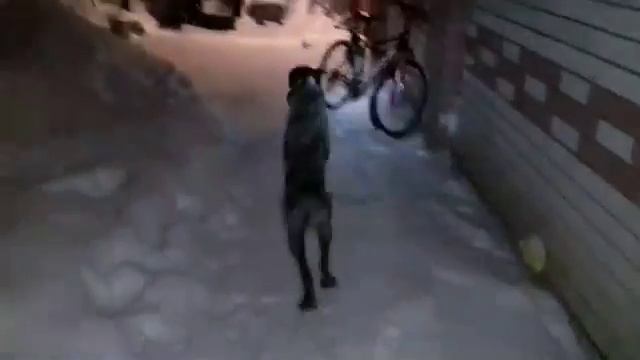 Длинными,долгими вечерами...